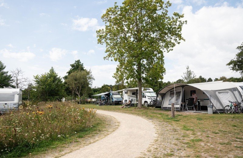 By quinty matakupan 43 1