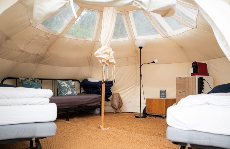 By quinty matakupan 73