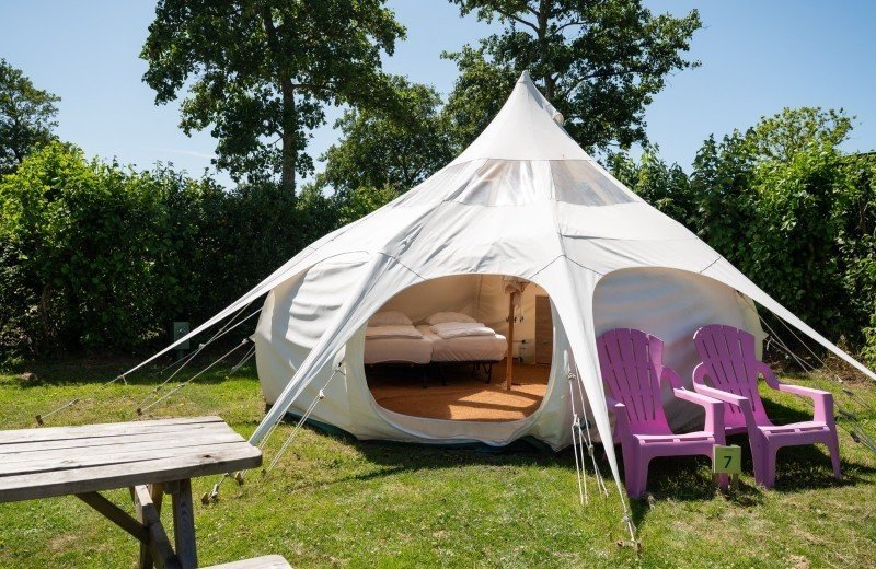 De nollen 2025 qm 82