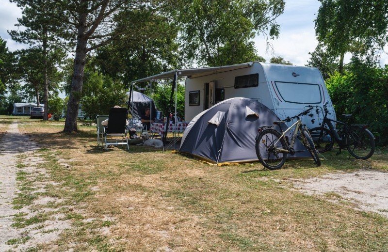 Dm de nollen comp 007