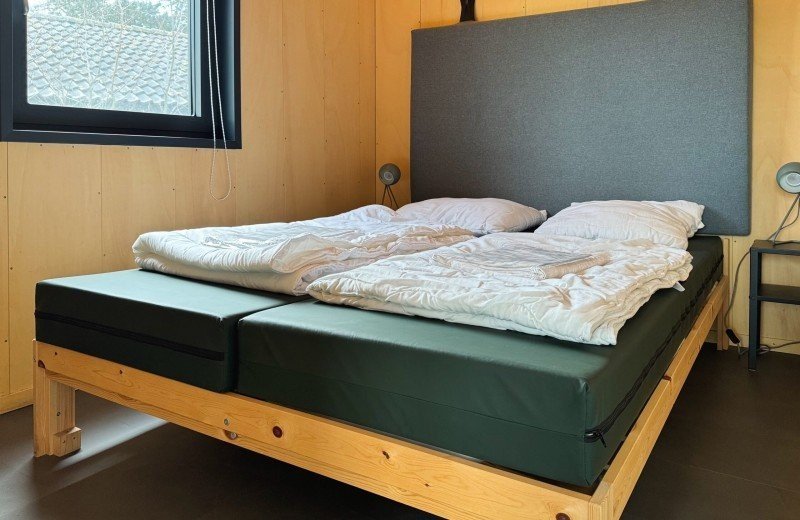 Img 2650 667589464b944