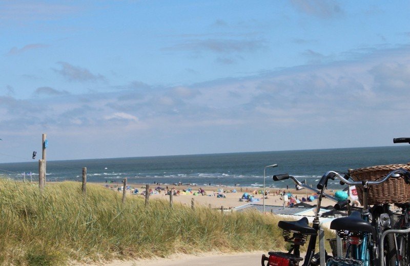 Strand bij de nollen
